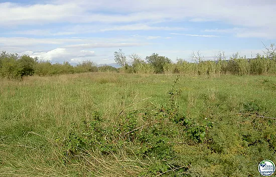 TERRENO DE 5.000 M2.