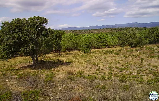 Terreno Rustico de 18000 m en Garriguella