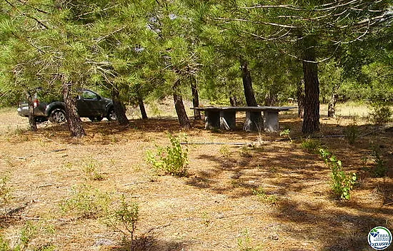 Terreno Rustico de 18000 m en Garriguella