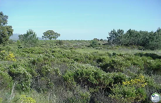 Terreno Rustico de 18000 m en Garriguella