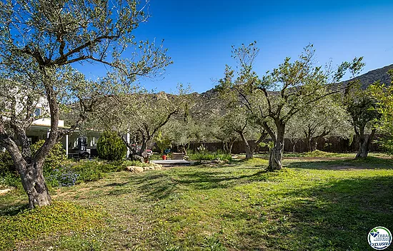 Magnifique villa rénovée entourée par la nature