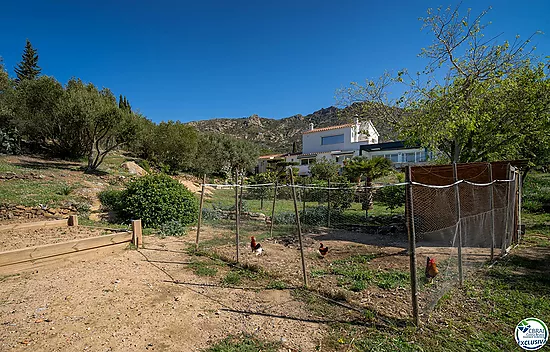 Magnificent renovated villa surrounded by nature