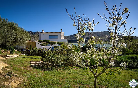 Magnificent renovated villa surrounded by nature