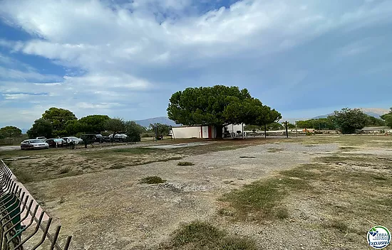 Estudio en zona natural de ensueño, sobre la zona natural de la playa de la Rubina de Empuriabrava, 