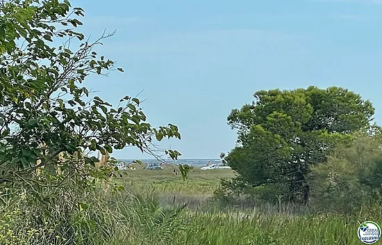 Estudio en zona natural de ensueño, sobre la zona natural de la playa de la Rubina de Empuriabrava